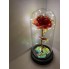 Роза в стеклянной колбе с Led подсветкой Красная романтический подарок UKC 23 см (Rose23-S1)