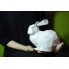 3D-аппликация оригами Кролик Papercraft бумага LUX качества и клей (045-S1)