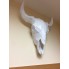 3D-фигура Череп Бизона Интерьерная Аппликация Papercraft бумага LUX качества и клей (446-S1)