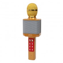 Микрофон Wster с караоке и четырьмя стилями обработки голоса LED подсветка Bluetooth 27см Золотой (WS-1828-А)